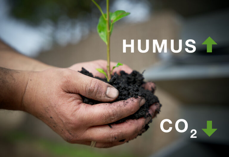 Humusreicher Boden als CO₂-Speicher