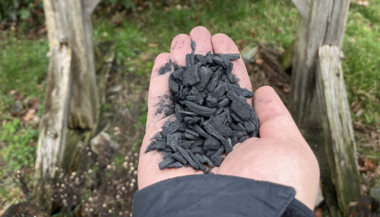 Agroforst und Pflanzenkohle im Projekt CO₂-Schatz Artland