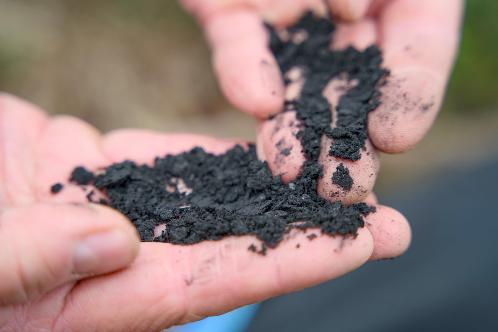 Biochar