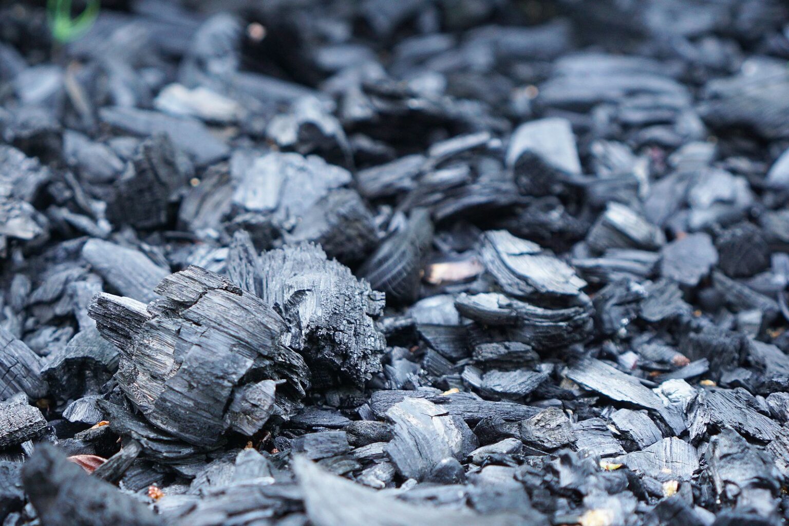 Pflanzenkohle / Biochar — schwarze Kohle