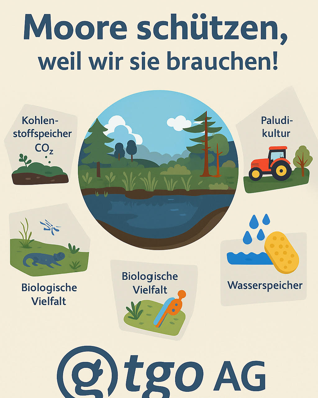 Infografik: Moore schützen, weil wir sie brauchen