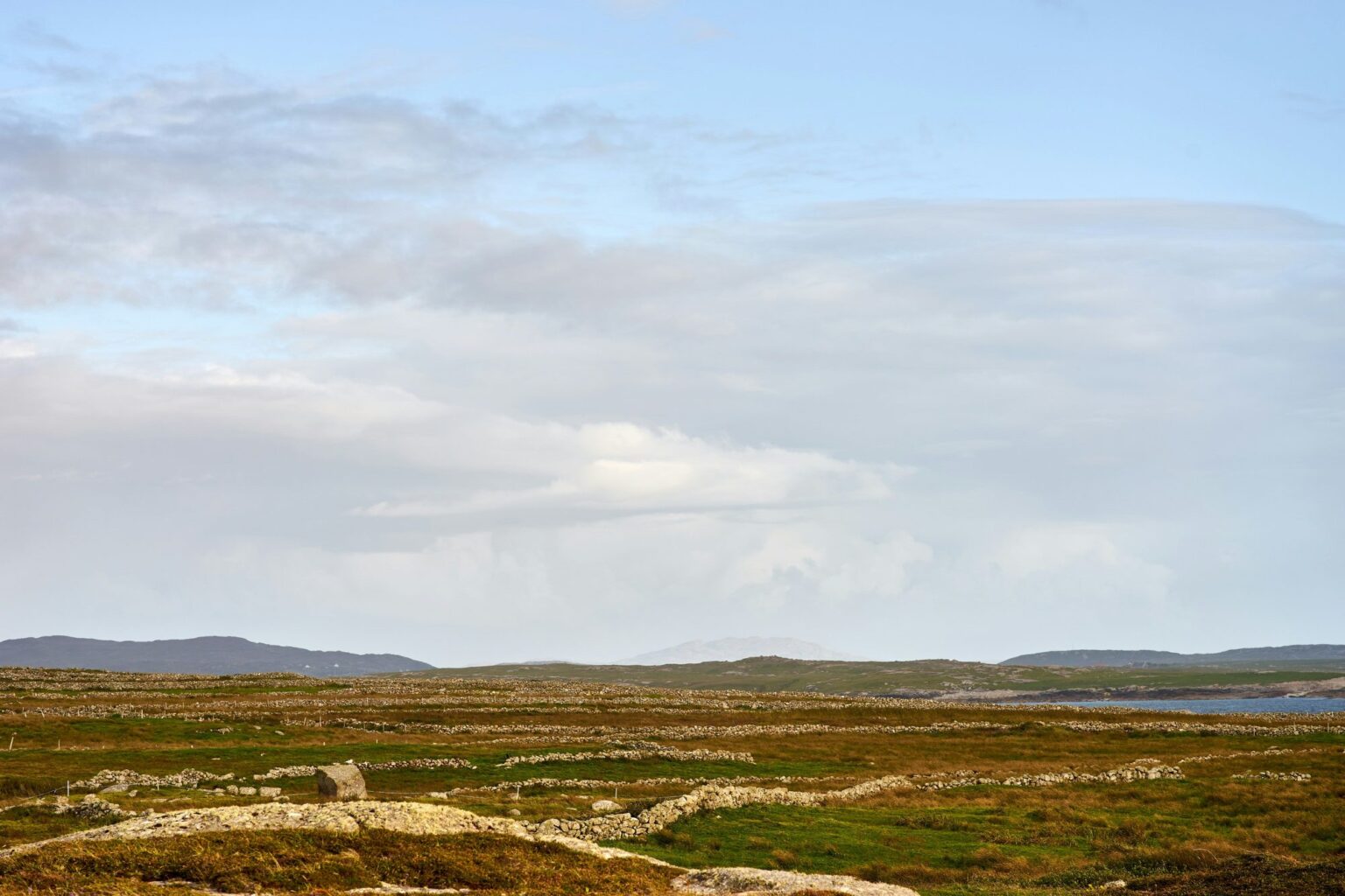 tgo AG arbeitet zusammen mit Green Restoration Ireland