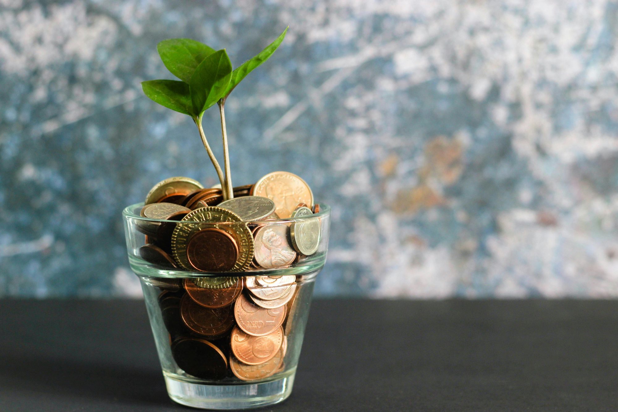 Klimaschutz in der Praxis: Green-Bond-Finanzierung